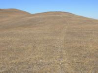 Following the Crest Trail